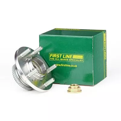 Rear Wheel Bearing Kit Fits Hyundai Santa Fé Trajet