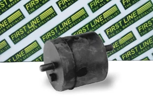 1x Both Sides Engine Mount Fits Bmw 5 Series