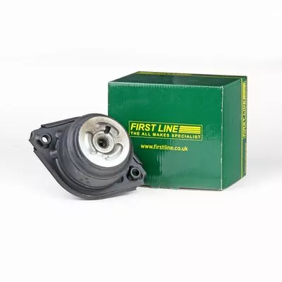 1x Both Sides Front Engine Mount Fits Mercedes M-class