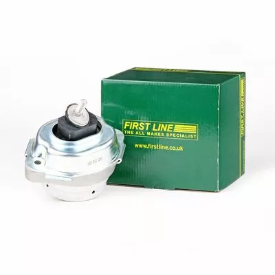 1x Both Sides Engine Mount Fits Bmw X5