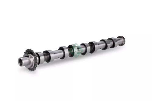 Schaeffler INA Schaeffler INA 428012010 Camshaft 