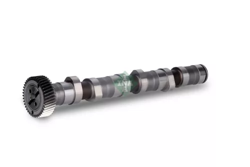 Schaeffler INA Schaeffler INA 428015810 Camshaft 