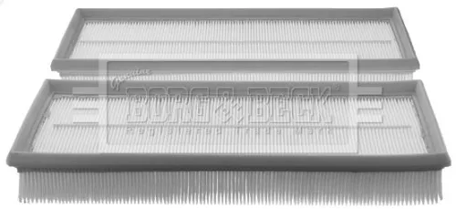 Borg and Beck Borg and Beck BFA2143 Air Filter Fits Mercedes-benz C-class Clc-class Clk Cls E-class G-class Gl-class 