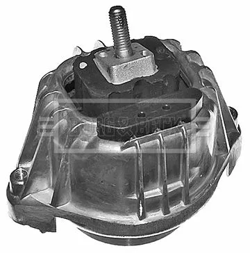 Borg and Beck Borg and Beck BEM4125 1X Both Sides Lower Right Engine Mount Fits Bmw 1 3 Series X1 Support Rod 