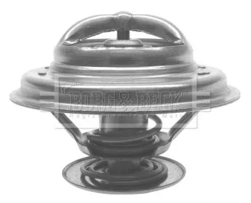 Borg & Beck BTS199.88 Coolant Thermostat Fits Alpina Audi 240 3