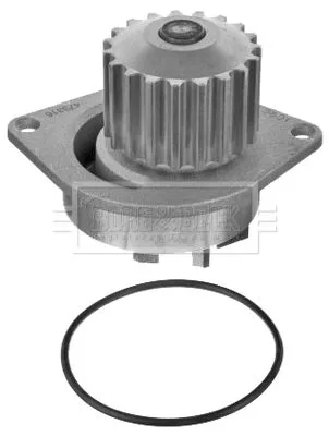 Borg & Beck Water Pump Fits Citroën Peugeot 1007 106 206 207 301 306 307 308 308