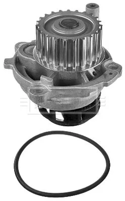 Borg & Beck Water Pump Fits Audi Seat Skoda Vw A3 A4 A6 Altea Altea Xl Bora Cadd