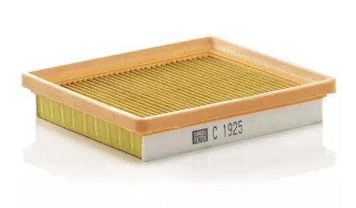 Air Filter Fits Ford Ford Australia Fiesta