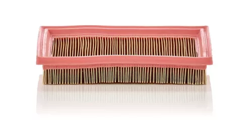 Air Filter Fits Ford Ford Australia Mazda 2 Fiesta Fusion