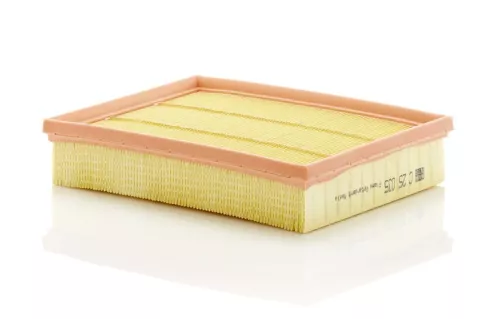 Air Filter Fits Ford Ford Usa Edge Galaxy Mondeo S-max