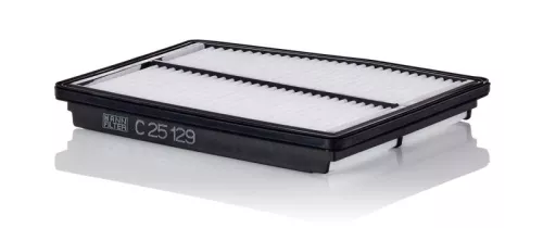 Air Filter Fits Hyundai Kia Santa Fe Sorento