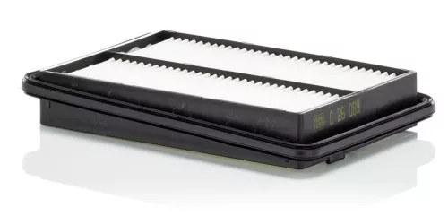 Air Filter Fits Nissan Renault Koleos X-trail