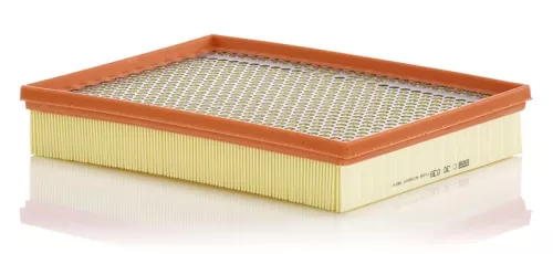 Air Filter Fits Ford Ford Australia Ranger