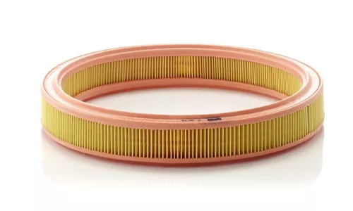 Air Filter Fits Ford Escort Fiesta Orion