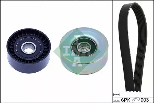 Ina V-ribbed Belt Set Fits Citroën Citroën (Df-psa) Ds Ds (Capsa) Mini Peugeot P