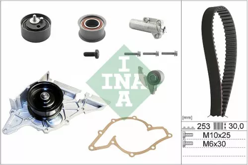 Ina Water Pump & Timing Belt Kit Fits Audi Audi (Faw) Skoda Vw Vw (Svw) A4 A6 A8