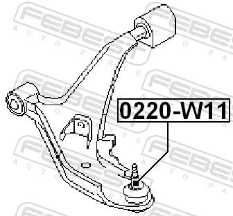 FEBEST FEBEST 0220-W11 Febest Front Lower Ball Joint Fits Nissan 100Nx Ad Van Avenir Expert Largo  