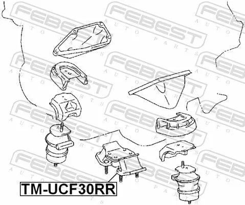 FEBEST FEBEST TM-UCF30RR Febest Centre Rear Engine Mount Fits Lexus Toyota Celsior Ls Support Rod 
