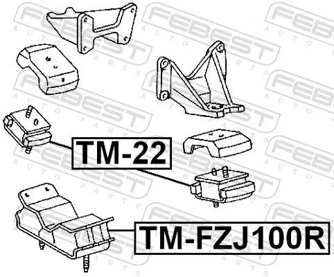 FEBEST FEBEST TM-22 Febest Front Engine Mount Fits Lexus Toyota Land Cruiser 100 Land Cruiser 80 Lx 