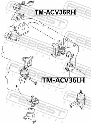 FEBEST FEBEST TM-ACV36RH Febest Front Right Engine Mount Fits Toyota Camry Solara Support Rod 