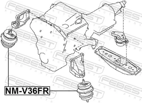 FEBEST FEBEST NM-V36FR Febest Front Engine Mount Fits Infiniti Nissan Ex Fuga Fx G M M37 Q40 Q60 Q70 