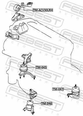 FEBEST FEBEST TM-ACV30LRH Febest Front Right Engine Mount Fits Toyota Camry Solara Support Rod 