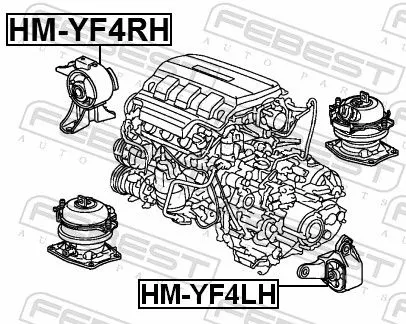 FEBEST FEBEST HM-YF4RH Febest Front Right Engine Mount Fits Honda Odyssey Pilot Support Rod 