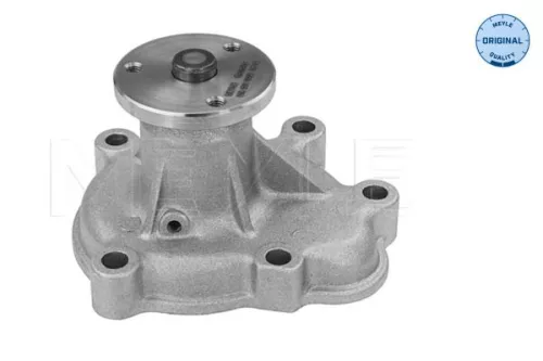 MEYLE MEYLE 613 220 0012 Meyle 6132200012 Water Pump Fits Vauxhall Chevrolet Astra Astra G + more 