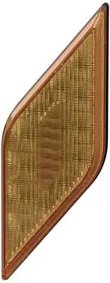 Hella 2BA013331-361 Right Indicator
