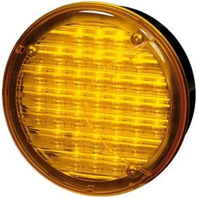 Hella 2BA964169-317 Left Or Right Indicator