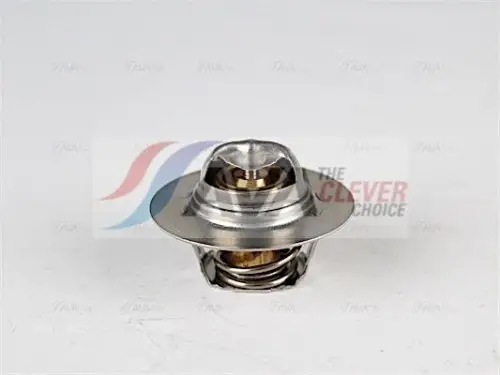 AVA RTTS005 Thermostat Fits Renault Megane I Laguna I Kangoo Express 19 I 19 II