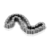 Drive Chain