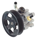 Power steering pumps and related components